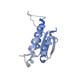 11633_7a4h_GI_v1-2
Aquifex aeolicus lumazine synthase-derived nucleocapsid variant NC-2 (180-mer)