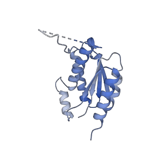 11633_7a4h_GJ_v1-2
Aquifex aeolicus lumazine synthase-derived nucleocapsid variant NC-2 (180-mer)