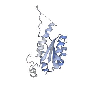 11633_7a4h_GK_v1-2
Aquifex aeolicus lumazine synthase-derived nucleocapsid variant NC-2 (180-mer)