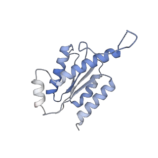 11633_7a4h_GL_v1-2
Aquifex aeolicus lumazine synthase-derived nucleocapsid variant NC-2 (180-mer)