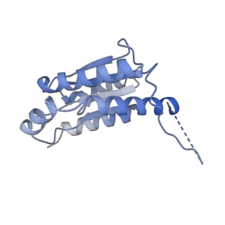 11633_7a4h_GM_v1-2
Aquifex aeolicus lumazine synthase-derived nucleocapsid variant NC-2 (180-mer)