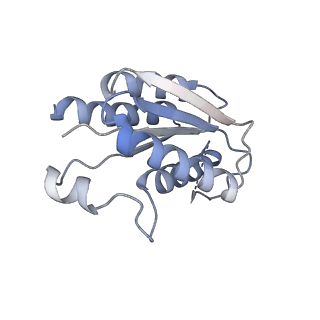 11633_7a4h_GN_v1-2
Aquifex aeolicus lumazine synthase-derived nucleocapsid variant NC-2 (180-mer)