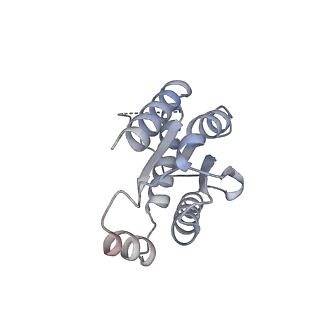 11633_7a4h_GO_v1-2
Aquifex aeolicus lumazine synthase-derived nucleocapsid variant NC-2 (180-mer)