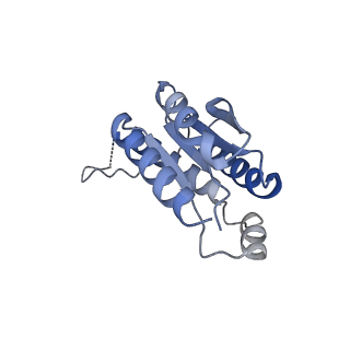 11633_7a4h_HA_v1-2
Aquifex aeolicus lumazine synthase-derived nucleocapsid variant NC-2 (180-mer)