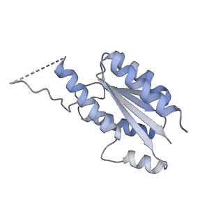 11633_7a4h_HB_v1-2
Aquifex aeolicus lumazine synthase-derived nucleocapsid variant NC-2 (180-mer)