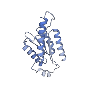 11633_7a4h_HC_v1-2
Aquifex aeolicus lumazine synthase-derived nucleocapsid variant NC-2 (180-mer)