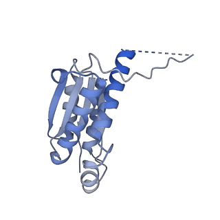 11633_7a4h_HD_v1-2
Aquifex aeolicus lumazine synthase-derived nucleocapsid variant NC-2 (180-mer)