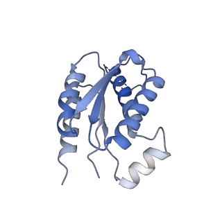 11633_7a4h_HE_v1-2
Aquifex aeolicus lumazine synthase-derived nucleocapsid variant NC-2 (180-mer)