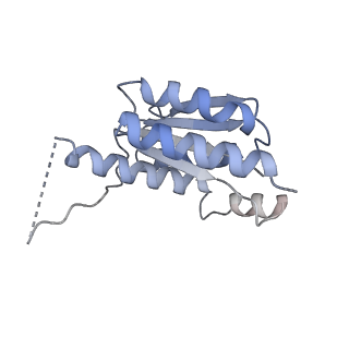11633_7a4h_HF_v1-2
Aquifex aeolicus lumazine synthase-derived nucleocapsid variant NC-2 (180-mer)