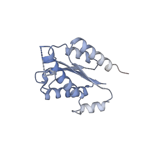 11633_7a4h_HG_v1-2
Aquifex aeolicus lumazine synthase-derived nucleocapsid variant NC-2 (180-mer)