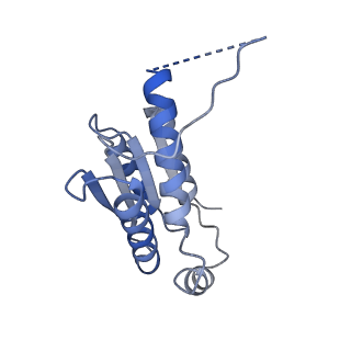 11633_7a4h_HH_v1-2
Aquifex aeolicus lumazine synthase-derived nucleocapsid variant NC-2 (180-mer)