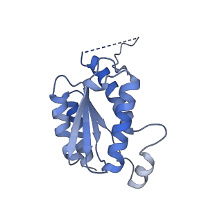 11633_7a4h_HI_v1-2
Aquifex aeolicus lumazine synthase-derived nucleocapsid variant NC-2 (180-mer)