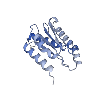 11633_7a4h_HJ_v1-2
Aquifex aeolicus lumazine synthase-derived nucleocapsid variant NC-2 (180-mer)