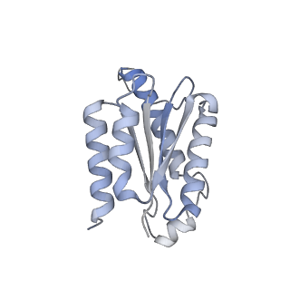 11633_7a4h_HK_v1-2
Aquifex aeolicus lumazine synthase-derived nucleocapsid variant NC-2 (180-mer)