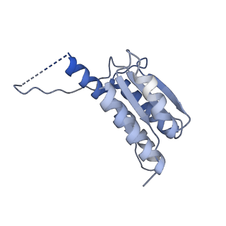 11633_7a4h_HL_v1-2
Aquifex aeolicus lumazine synthase-derived nucleocapsid variant NC-2 (180-mer)
