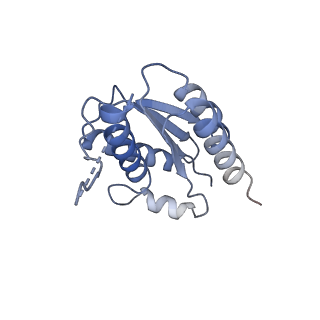 11633_7a4h_HM_v1-2
Aquifex aeolicus lumazine synthase-derived nucleocapsid variant NC-2 (180-mer)