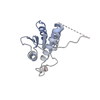 11633_7a4h_HN_v1-2
Aquifex aeolicus lumazine synthase-derived nucleocapsid variant NC-2 (180-mer)