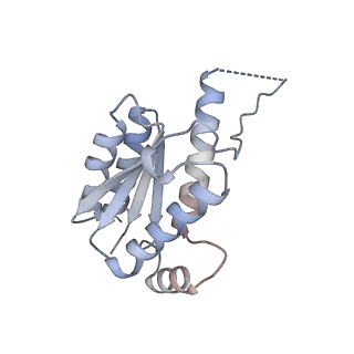 11633_7a4h_HO_v1-2
Aquifex aeolicus lumazine synthase-derived nucleocapsid variant NC-2 (180-mer)