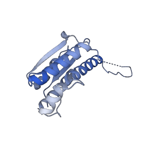 11633_7a4h_IA_v1-2
Aquifex aeolicus lumazine synthase-derived nucleocapsid variant NC-2 (180-mer)