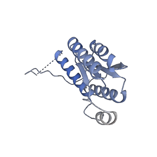 11633_7a4h_IC_v1-2
Aquifex aeolicus lumazine synthase-derived nucleocapsid variant NC-2 (180-mer)