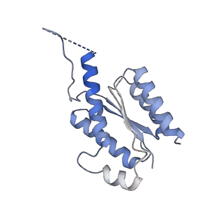 11633_7a4h_ID_v1-2
Aquifex aeolicus lumazine synthase-derived nucleocapsid variant NC-2 (180-mer)