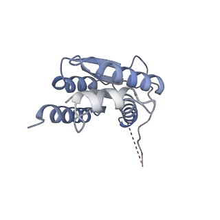 11633_7a4h_IF_v1-2
Aquifex aeolicus lumazine synthase-derived nucleocapsid variant NC-2 (180-mer)