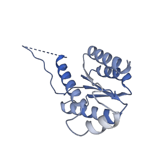 11633_7a4h_IH_v1-2
Aquifex aeolicus lumazine synthase-derived nucleocapsid variant NC-2 (180-mer)