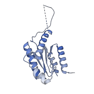 11633_7a4h_II_v1-2
Aquifex aeolicus lumazine synthase-derived nucleocapsid variant NC-2 (180-mer)