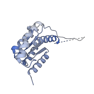 11633_7a4h_IJ_v1-2
Aquifex aeolicus lumazine synthase-derived nucleocapsid variant NC-2 (180-mer)