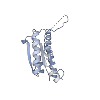 11633_7a4h_IK_v1-2
Aquifex aeolicus lumazine synthase-derived nucleocapsid variant NC-2 (180-mer)