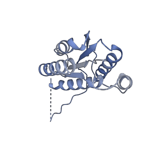 11633_7a4h_IM_v1-2
Aquifex aeolicus lumazine synthase-derived nucleocapsid variant NC-2 (180-mer)