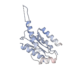 11633_7a4h_IO_v1-2
Aquifex aeolicus lumazine synthase-derived nucleocapsid variant NC-2 (180-mer)