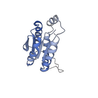 11633_7a4h_JA_v1-2
Aquifex aeolicus lumazine synthase-derived nucleocapsid variant NC-2 (180-mer)