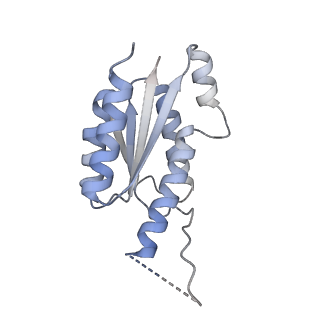 11633_7a4h_JB_v1-2
Aquifex aeolicus lumazine synthase-derived nucleocapsid variant NC-2 (180-mer)