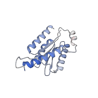 11633_7a4h_JC_v1-2
Aquifex aeolicus lumazine synthase-derived nucleocapsid variant NC-2 (180-mer)