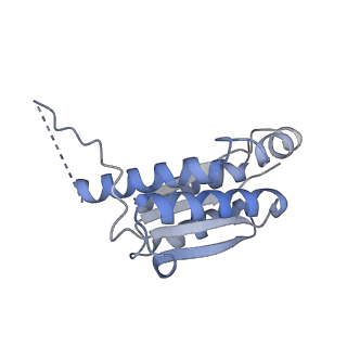 11633_7a4h_JD_v1-2
Aquifex aeolicus lumazine synthase-derived nucleocapsid variant NC-2 (180-mer)
