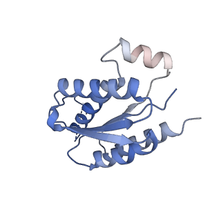 11633_7a4h_JE_v1-2
Aquifex aeolicus lumazine synthase-derived nucleocapsid variant NC-2 (180-mer)