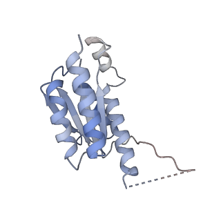 11633_7a4h_JF_v1-2
Aquifex aeolicus lumazine synthase-derived nucleocapsid variant NC-2 (180-mer)