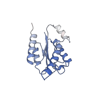 11633_7a4h_JG_v1-2
Aquifex aeolicus lumazine synthase-derived nucleocapsid variant NC-2 (180-mer)