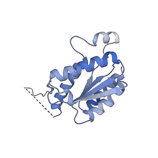 11633_7a4h_JI_v1-2
Aquifex aeolicus lumazine synthase-derived nucleocapsid variant NC-2 (180-mer)