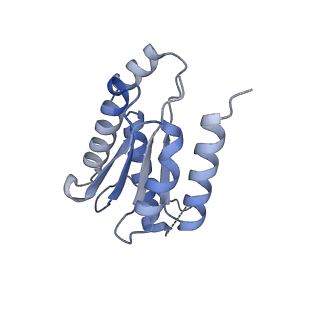 11633_7a4h_JJ_v1-2
Aquifex aeolicus lumazine synthase-derived nucleocapsid variant NC-2 (180-mer)