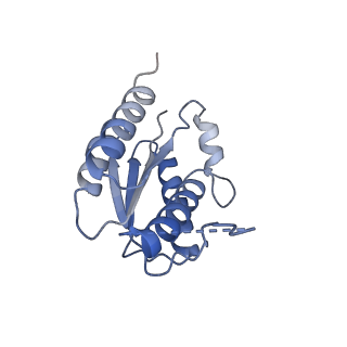 11633_7a4h_JM_v1-2
Aquifex aeolicus lumazine synthase-derived nucleocapsid variant NC-2 (180-mer)