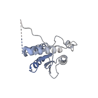 11633_7a4h_JN_v1-2
Aquifex aeolicus lumazine synthase-derived nucleocapsid variant NC-2 (180-mer)