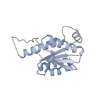 11633_7a4h_JO_v1-2
Aquifex aeolicus lumazine synthase-derived nucleocapsid variant NC-2 (180-mer)