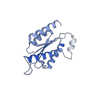 11633_7a4h_KA_v1-2
Aquifex aeolicus lumazine synthase-derived nucleocapsid variant NC-2 (180-mer)