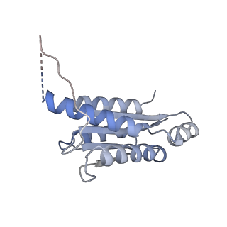 11633_7a4h_KB_v1-2
Aquifex aeolicus lumazine synthase-derived nucleocapsid variant NC-2 (180-mer)