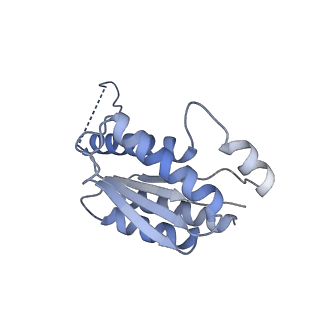 11633_7a4h_KC_v1-2
Aquifex aeolicus lumazine synthase-derived nucleocapsid variant NC-2 (180-mer)