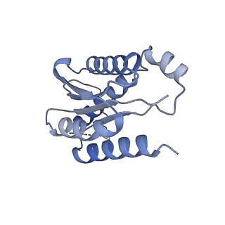 11633_7a4h_KD_v1-2
Aquifex aeolicus lumazine synthase-derived nucleocapsid variant NC-2 (180-mer)
