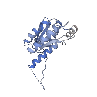 11633_7a4h_KE_v1-2
Aquifex aeolicus lumazine synthase-derived nucleocapsid variant NC-2 (180-mer)