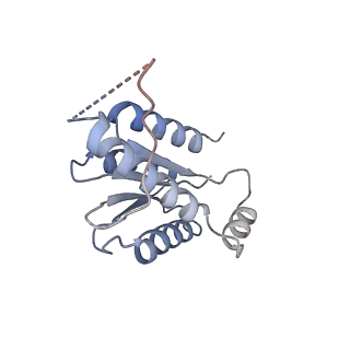 11633_7a4h_KF_v1-2
Aquifex aeolicus lumazine synthase-derived nucleocapsid variant NC-2 (180-mer)